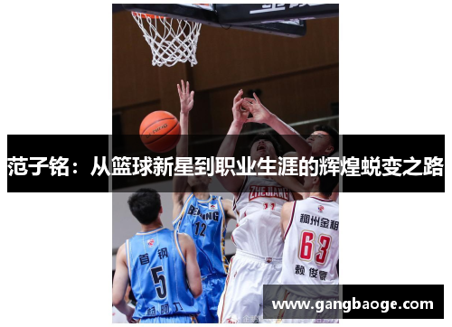 范子铭：从篮球新星到职业生涯的辉煌蜕变之路