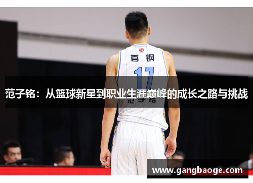 范子铭：从篮球新星到职业生涯巅峰的成长之路与挑战