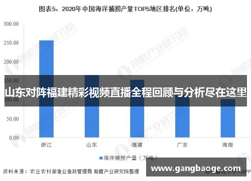 山东对阵福建精彩视频直播全程回顾与分析尽在这里